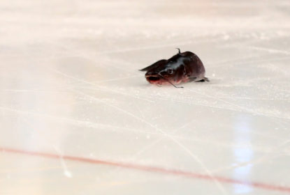 Torcedor dos Predators é processado por jogar peixe no gelo durante final - The Playoffs