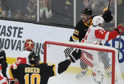 Bruins viram sobre Red Wings e se garantem nos playoffs - The Playoffs